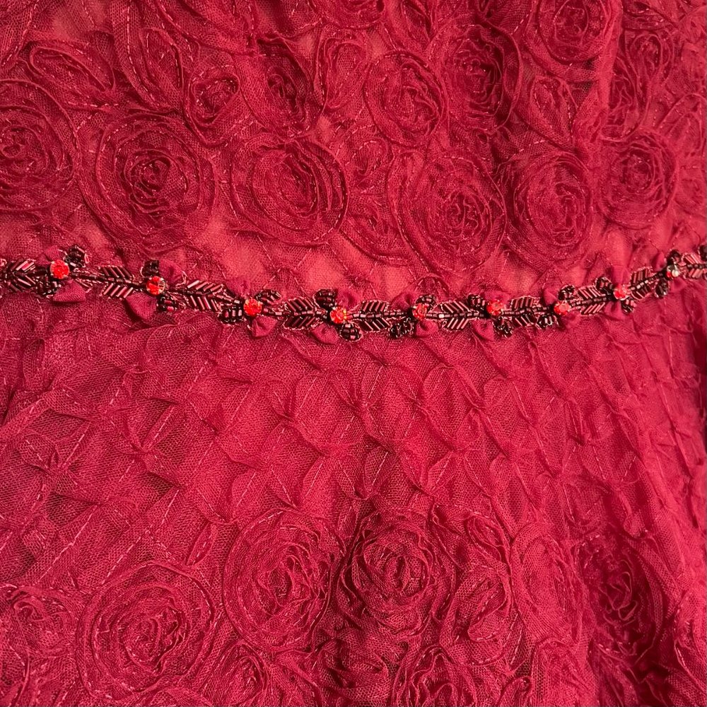 NWT Marchesa Gown/Dress Red/Burgundy Size 8 ASO Kate Middleton - Picture 5 of 11